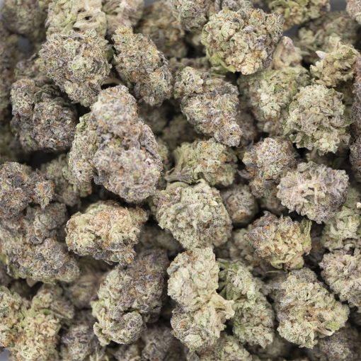 Wedding Cake AAAA - Indica