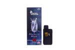 Burn – Blueberry Mojito - Sativa - THC Disposable Pens