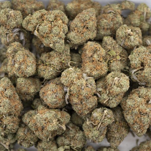 Zereal Milk AAA - Indica