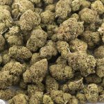 Berry White AA - Indica
