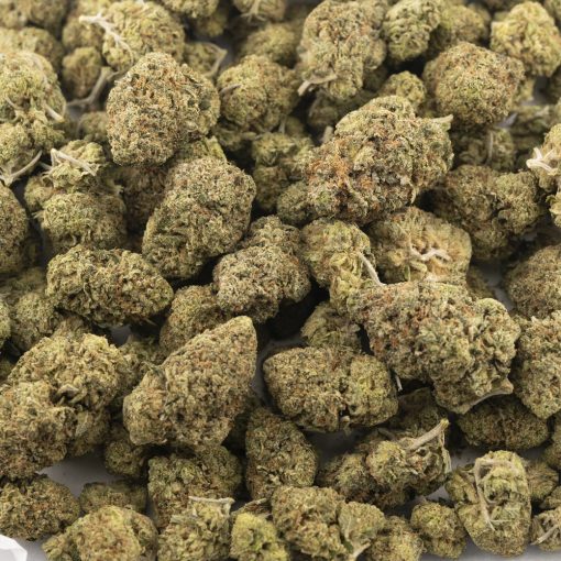 Berry White AA - Indica