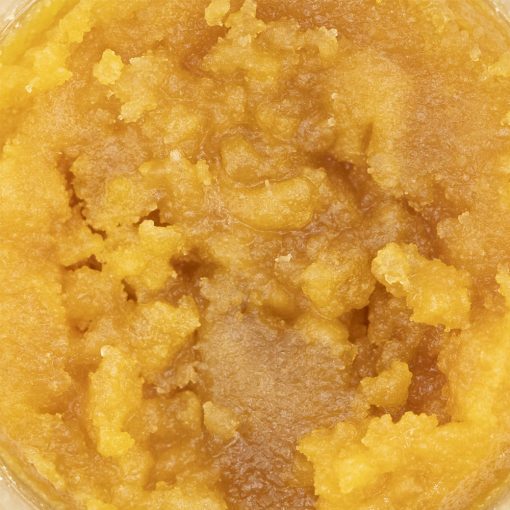 Sauce - Gelato Mimosa - Hybrid