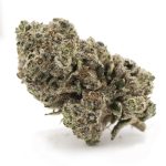 Gorilla Glue #4 AAAA - Indica