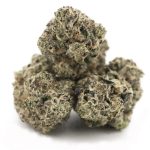 Gorilla Glue #4 AAAA - Indica