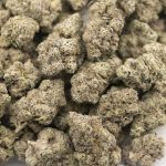 Gorilla Glue #4 AAAA - Indica