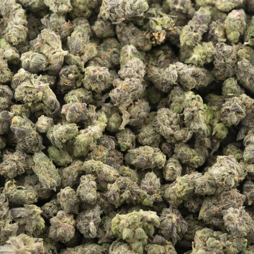 King's Kush AAAA Popcorn - Indica