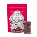 Alice - Cherry Psilocybin Mushroom Gummy - 1000MG