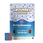 Grounded High Dose Bricks - Berry Bonanza THC Gummies - 2000 MG