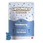 Grounded High Dose - Blueberry THC Gummies - 500 MG