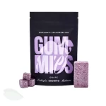 Euphoria Psychedelics - Grape Gummies - 6000MG Psilocybin