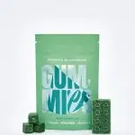 Euphoria Psychedelics - Watermelon Gummies - 4000MG Psilocybin