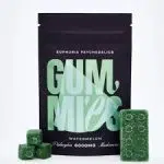 Euphoria Psychedelics - Watermelon Gummies - 6000MG Psilocybin