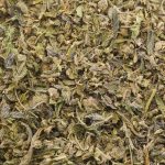 Wholesale - High Quality Shake