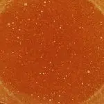 Sauce - Banana Split - Sativa