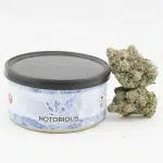 Notorious THC Craft - Raspberry Skywalker (7 Grams)