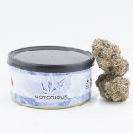 Notorious THC Craft - King Kong Glue (7 Grams)