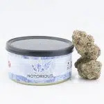 Notorious THC Craft - King Kong Glue (7 Grams)