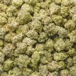 MK Ultra AAA Popcorn - Indica