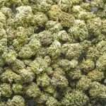 OG #18 AAA Popcorn - Indica