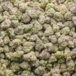 Wholesale Popcorn - Grape Zorilla - Craft