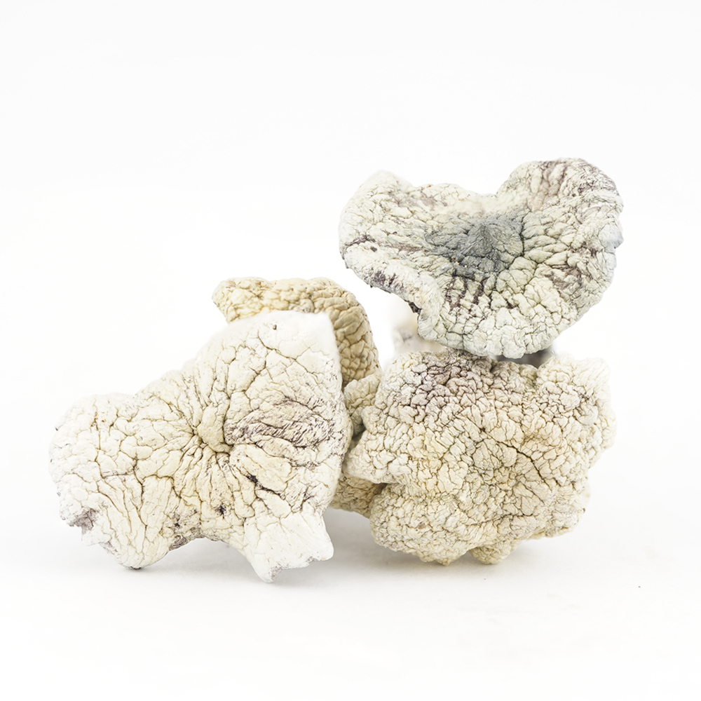 buy-weed-online-dispensary-magic-mushrooms-psilocybin-arenal-volcano-new-three-piece