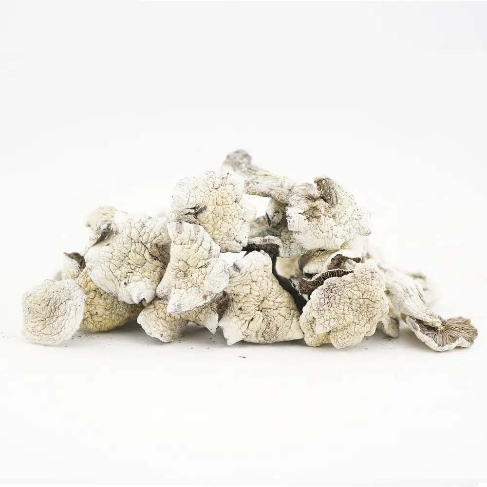 buy-weed-online-dispensary-magic-mushrooms-psilocybin-arenal-volcano-new-three-wholesale