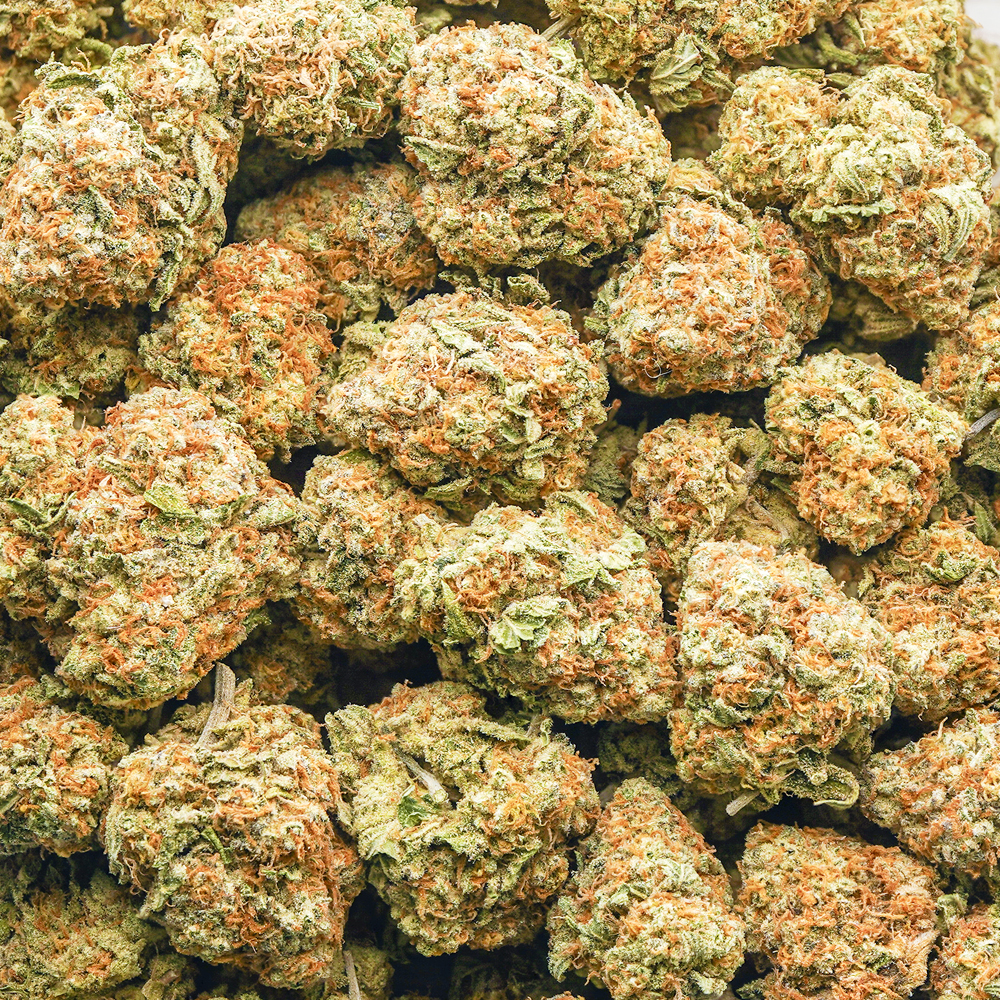 buy-weed-online-dispensary-vanilla-kush-aa-wholesale