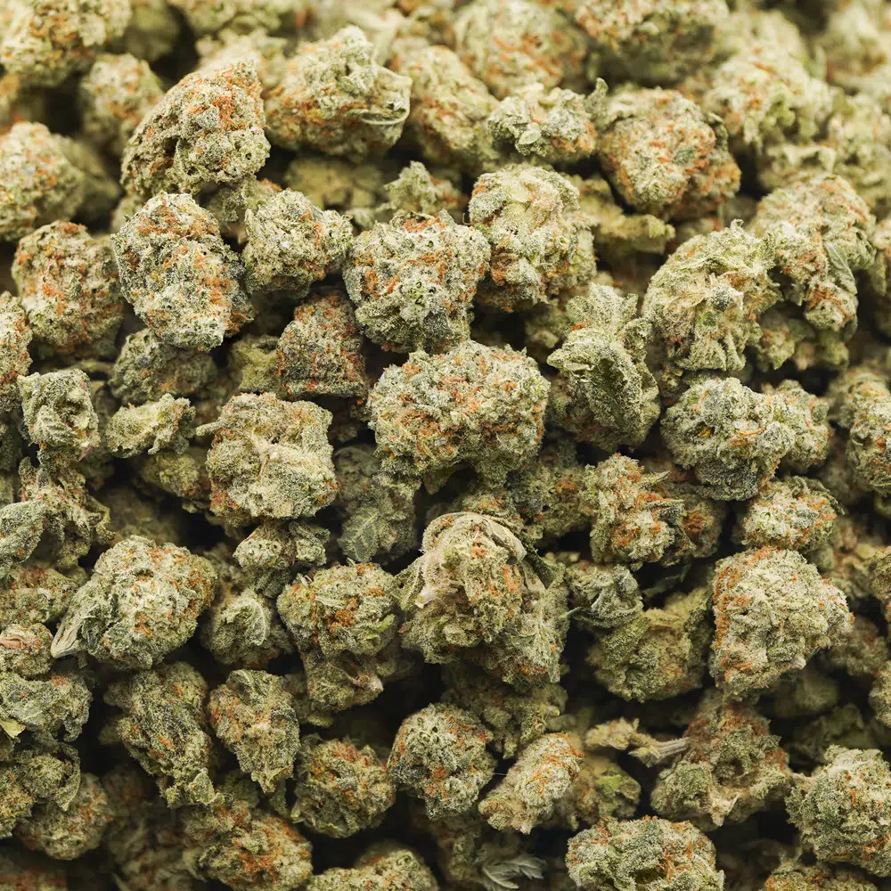 buy-weed-online-dispensary-deathbed-kush-aaaa-popcorn-wholesale