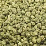 Funky Charms Craft Popcorn - Hybrid