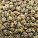 Alien Rock Candy Craft Popcorn - Indica