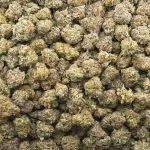 Wholesale Popcorn - Alien Rock Candy - Craft