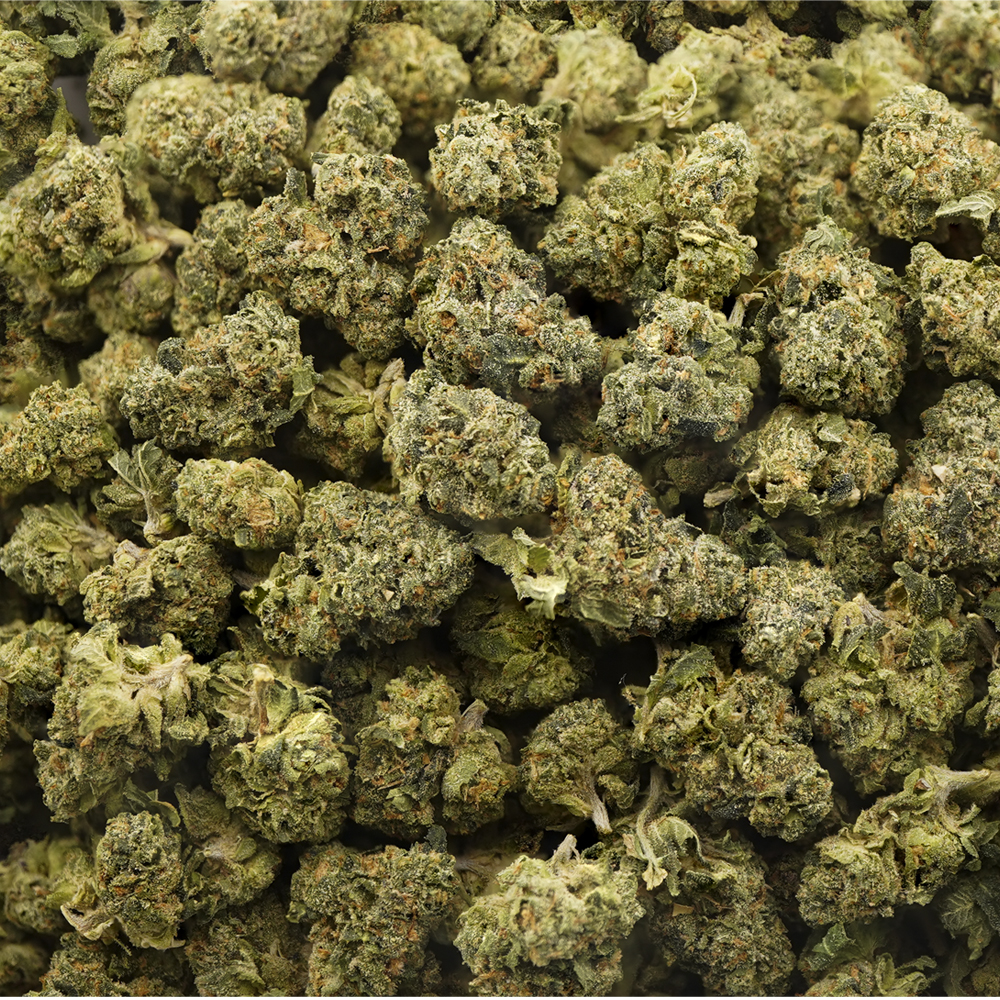 buy-weed-online-dispensary-greyberry-aaa-popcorn-wholesale