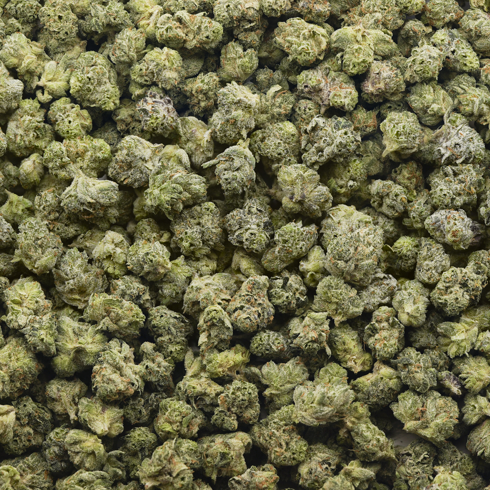 buy-weed-online-dispensary-pluto-craft-popcorn-wholesale