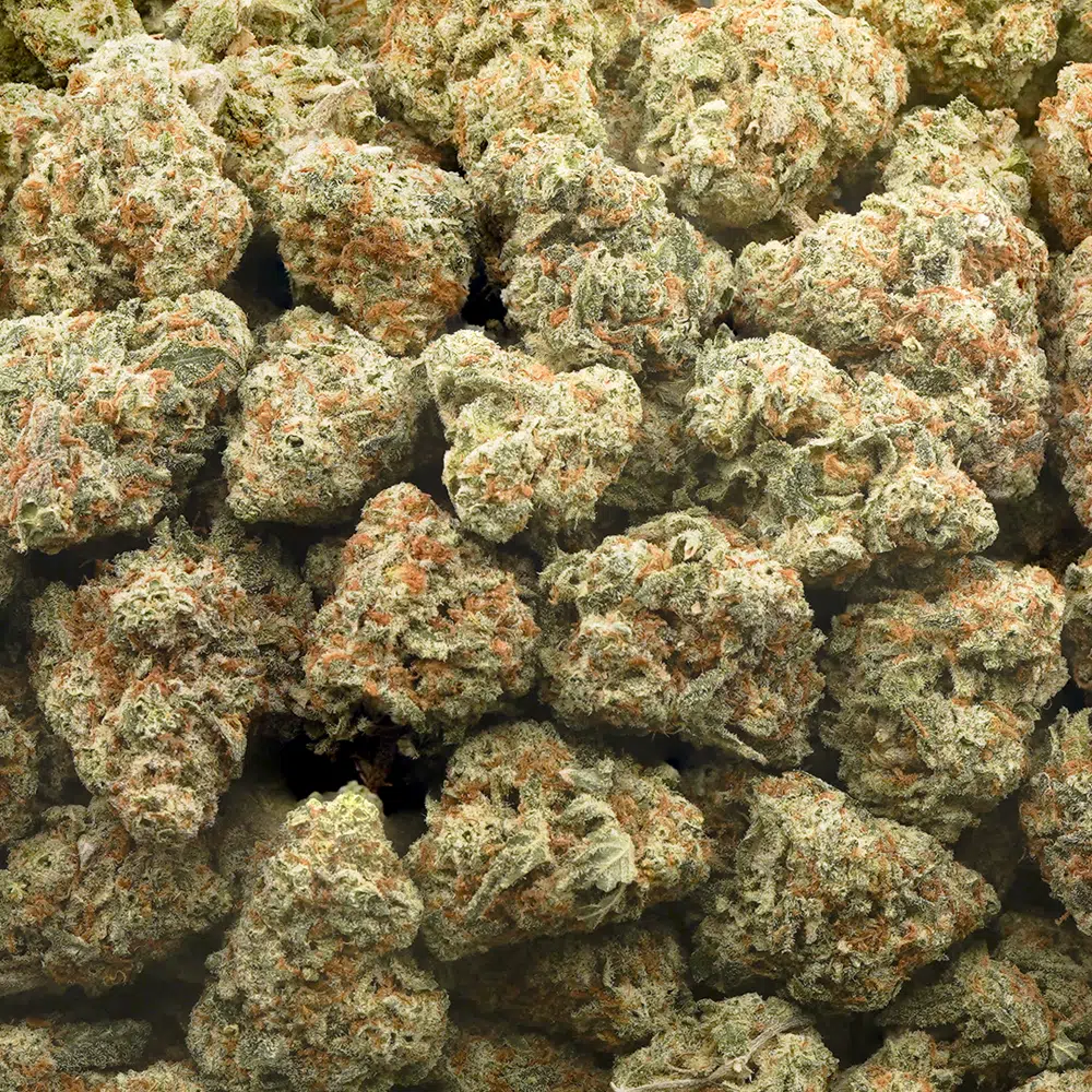 buy-weed-online-dispensary-uk-cheese-aaa-wholesale