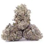 Banana Cream Pie AA - Indica - Image 2