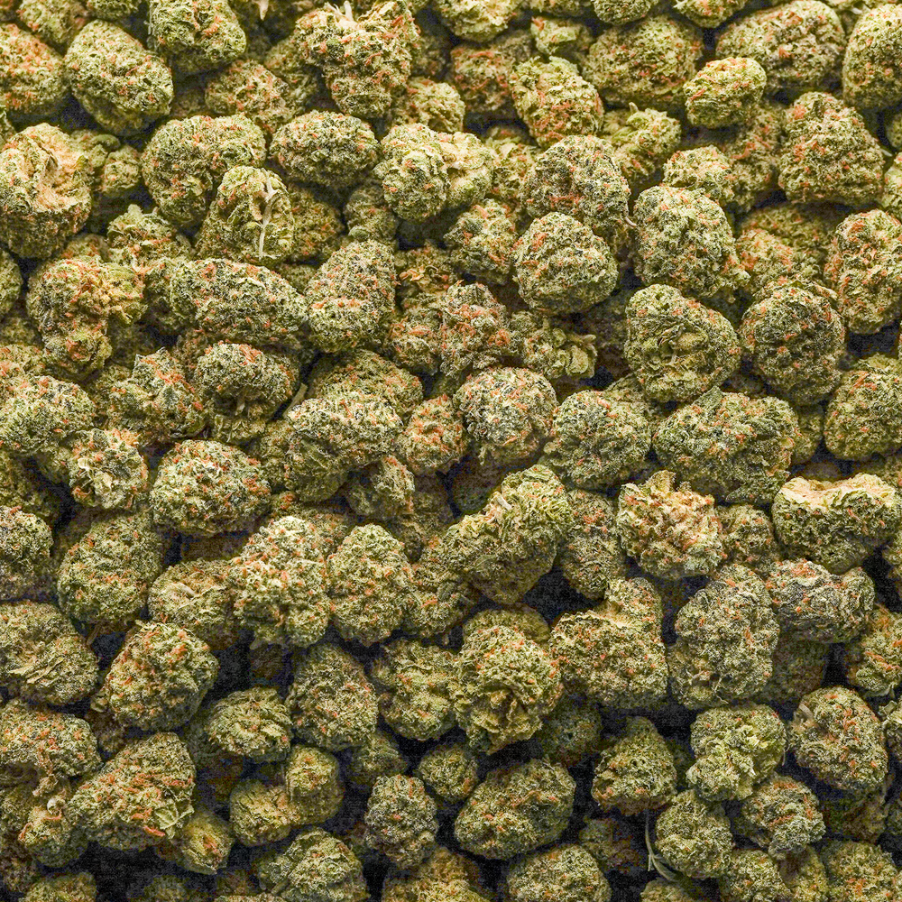 buy-weed-online-dispensary-cheetah-runtz-aaa-popcorn-wholesale