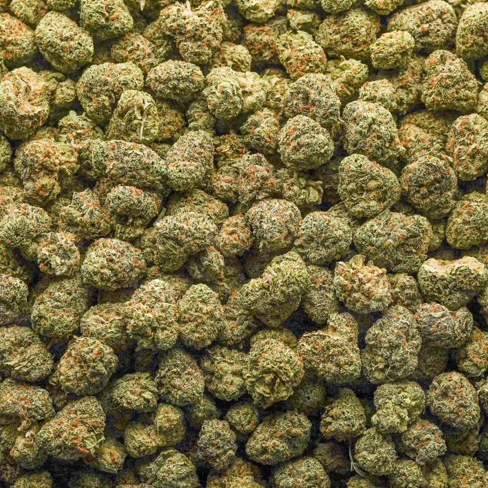 buy-weed-online-dispensary-cheetah-runtz-aaa-popcorn-wholesale