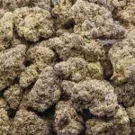 Kool Aid Kush AAA - Indica - Image 3