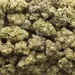 Lucky Charms AAA - Hybrid - Image 3