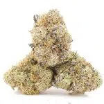 Shirley Temple AAA - Indica - Image 2