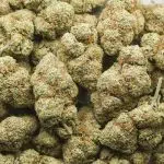 Wholesale - Blue Dream - AAA