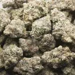 Blueberry SinMint Craft - Indica - Image 3