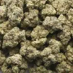 Wholesale - Donkey Butter - AAAA