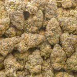 Black Cherry Pie AA - Hybrid - Image 3