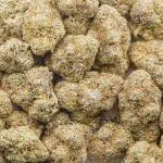 Pink Drink AA - Hybrid - Image 3