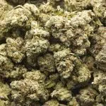 Skywalker OG AAAA - Indica - Image 3