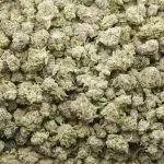 Gorilla Snacks Craft Popcorn - Hybrid