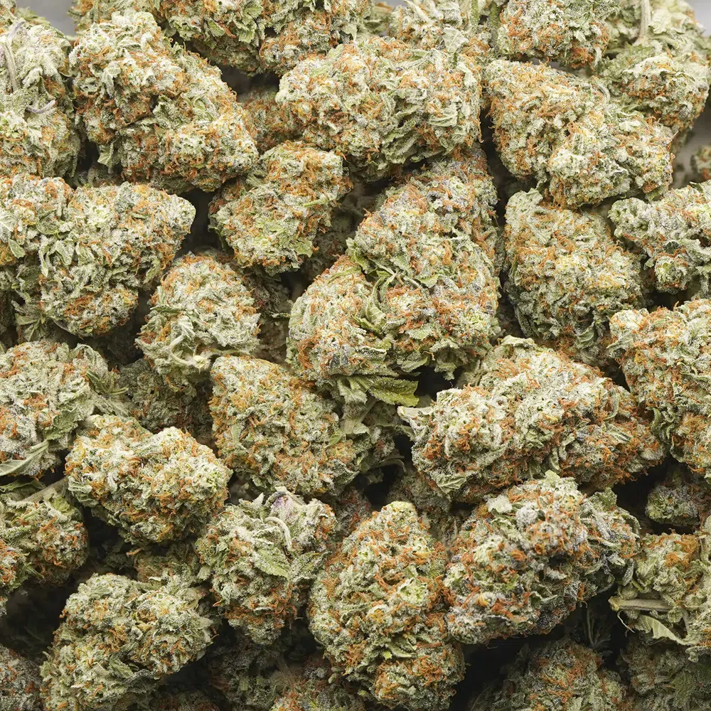 buy-weed-online-dispensary-grape-gelato-aa-wholesale