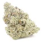 Wholesale - Gush Mintz - Craft - Image 3