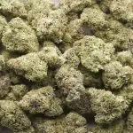 Wholesale - Gush Mintz - Craft